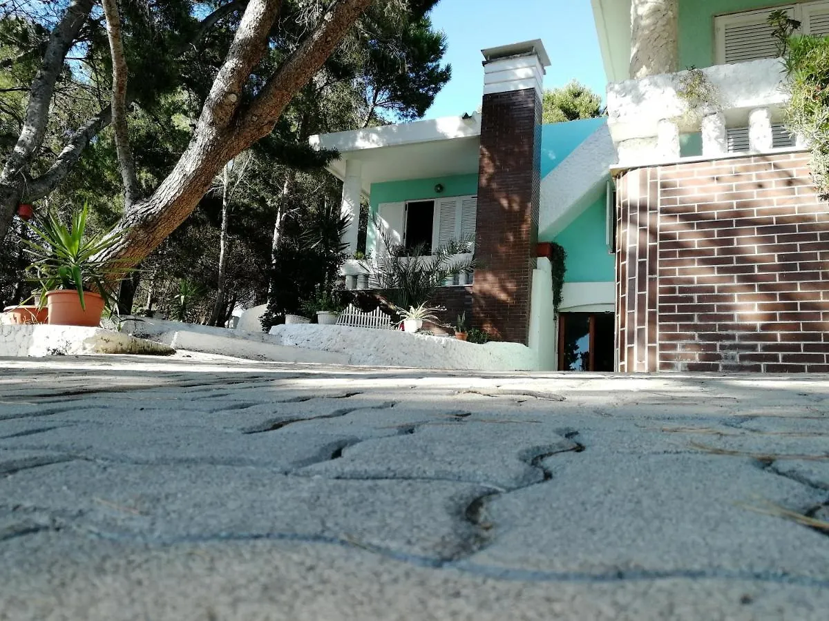 Florida location